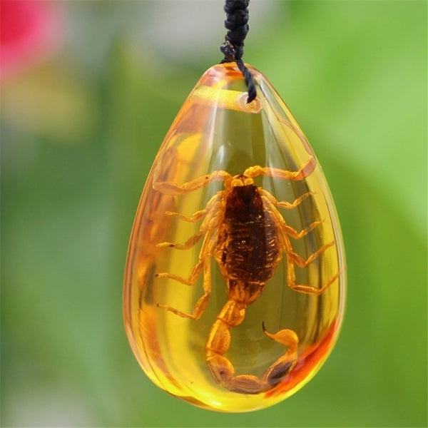 Insect Stone Natural Scorpions Inclusion Amber Baltic Pendant